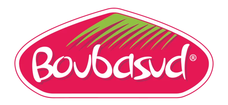 Boubasud_logo